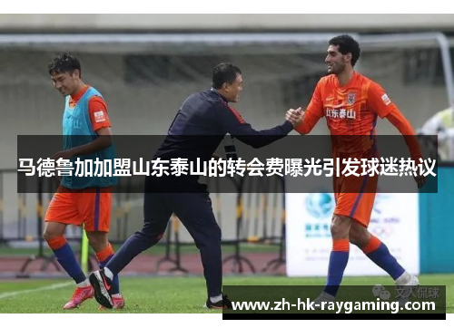 马德鲁加加盟山东泰山的转会费曝光引发球迷热议