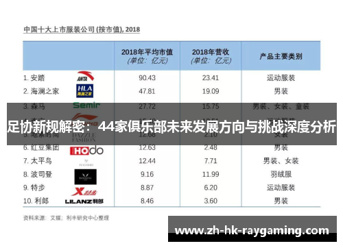 足协新规解密：44家俱乐部未来发展方向与挑战深度分析